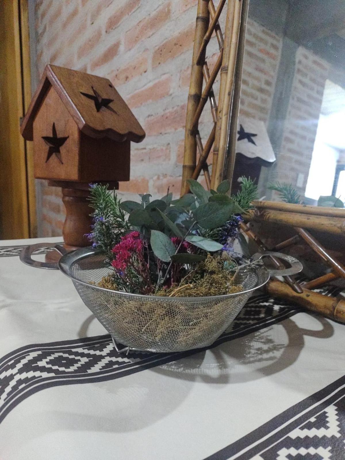 Camino Del Inca Jujuy -